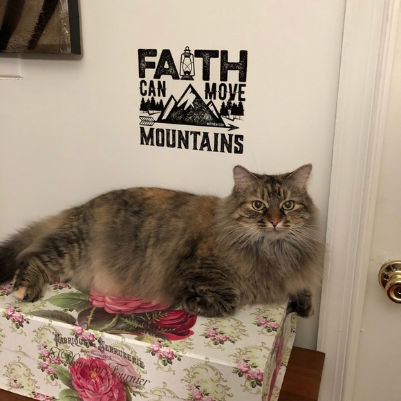 Meet your Posher, Fran - Picture 3 of 3